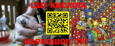 сатива Сланцы
