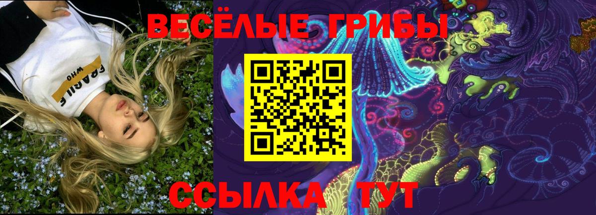 Псилоцибиновые грибы Cubensis  Псилоцибиновые грибы мицелий  цена   Вход с VPN  Братск 