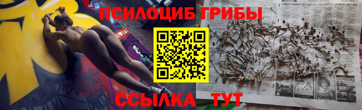 Псилоцибиновые грибы прущие грибы Братск